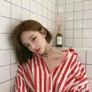 玫瑰复艳时